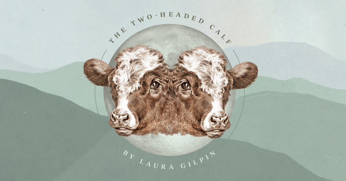 The TwoHeaded Calf Poem by Laura Gilpin