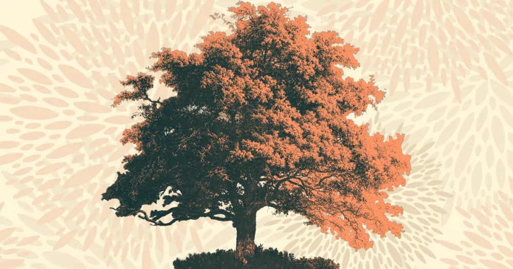 The Oak Tree Poem Lifeism