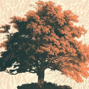  The Oak Tree Poem Lifeism