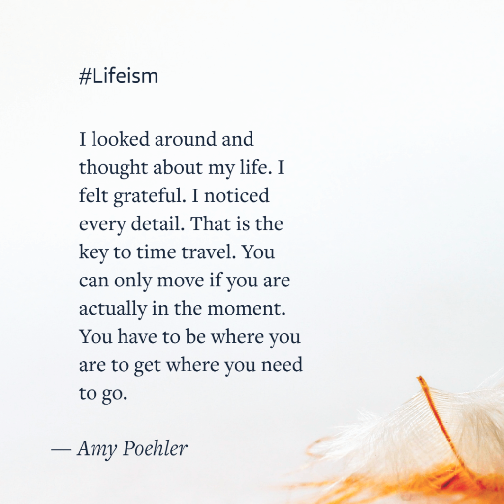 Amy Poehler Quote on gratitude - Lifeism