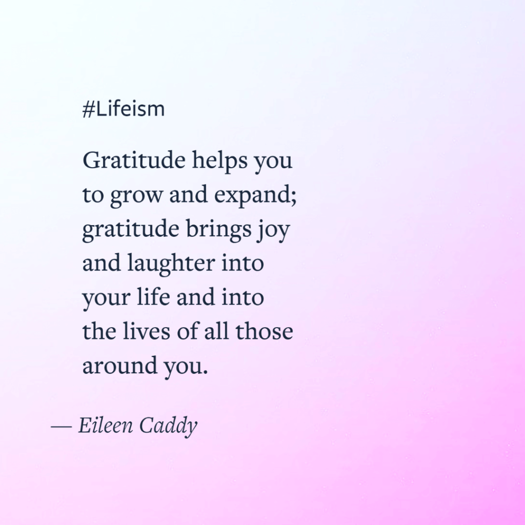 Amy Poehler Quote on gratitude - Lifeism